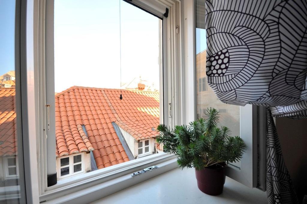 Apartment Flower ドゥブロブニク エクステリア 写真